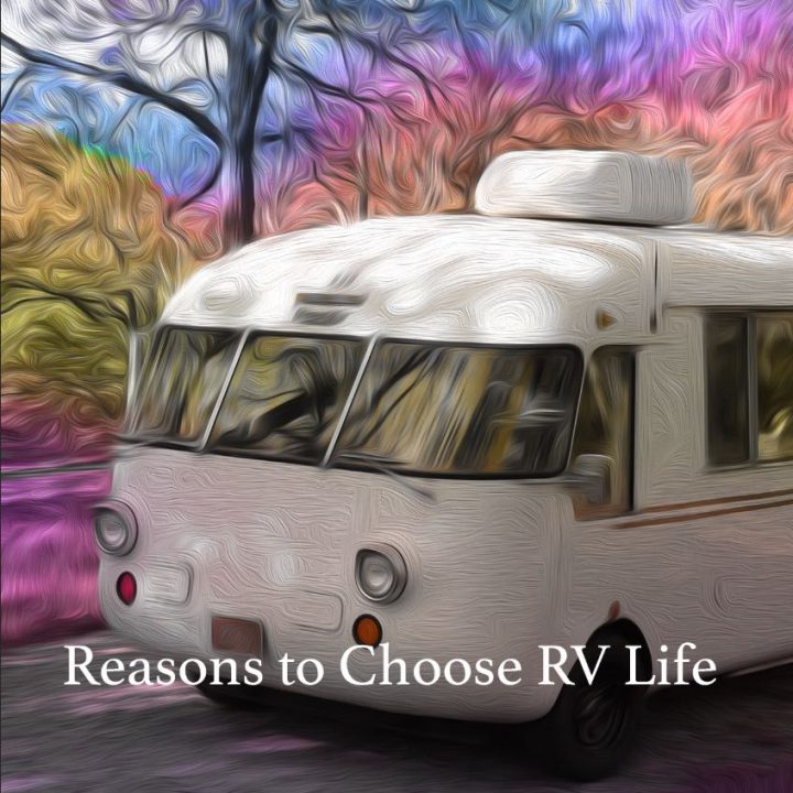 RV Lifestyle: Why We Made the Switch